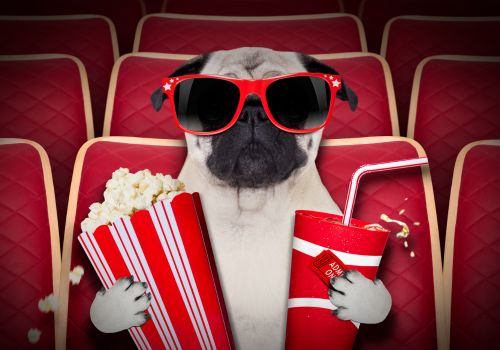 Assistir filmes direto do celular totalmente grátis!
