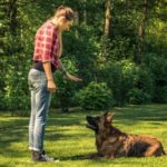 Treinar os Cachorros: Aplicativos para te Ajudar!