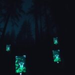 Desvende mistérios noturnos com aplicativos de visão noturna