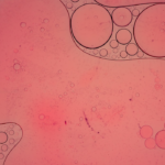 Escute Músicas Antigas No Celular Sem Complicação