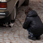Problemas do Carro: Aplicativos Gratuitos Que Ajudam a Identificar Defeitos